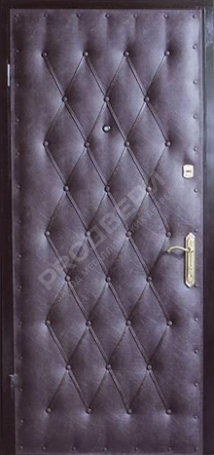 Фотография «Дверь Винилискожа №3»